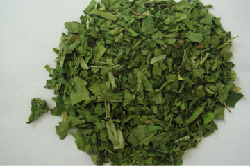 ISO,KOSher certificate Dried Spinach Leaves