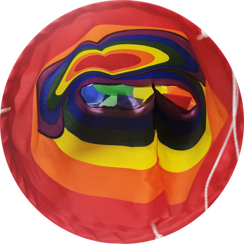 Anpassad nationell flagga Wind Sock Rainbow Windsock