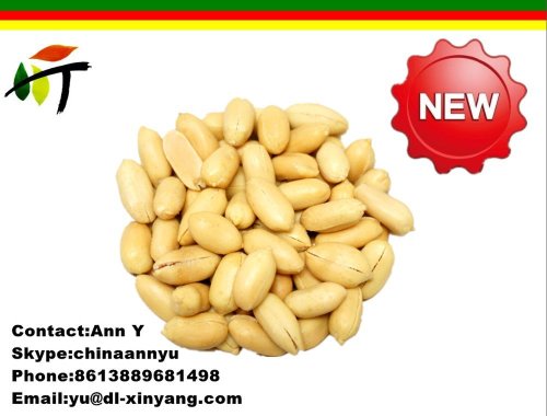 Wholesale China High Quality raw peanut Prices
