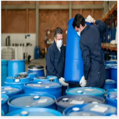 High Quality Arillus Longan Extract Longan Aril