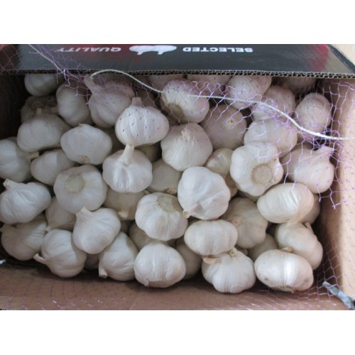 2020 Best Quality Pure Garlic