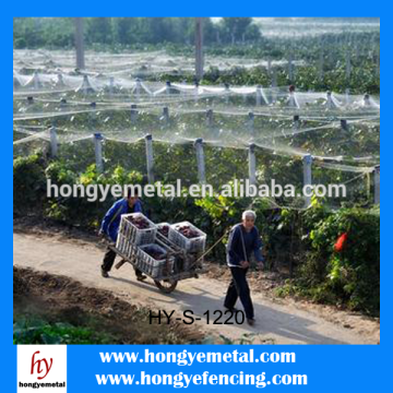 Plastic honeycomb mesh/plastic grille mesh/thick plastic mesh