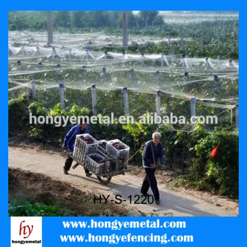 Plastic honeycomb mesh/plastic grille mesh/thick plastic mesh