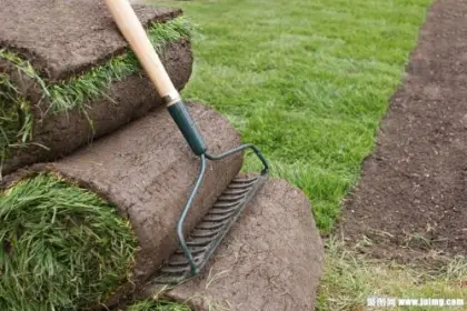 Durability and Quality: The GD8428 Gardey Rake Head - Your Ultimate Lawn Rake for Garden Tools