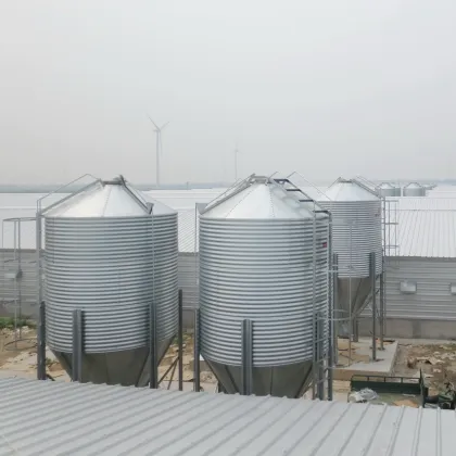 Poultry Machinery for Chicken Raising Equipment
