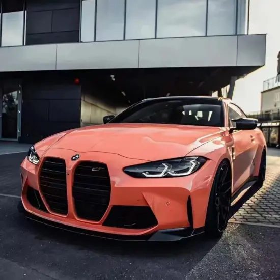 Ultra Gloss Piggy Pink Vinyl