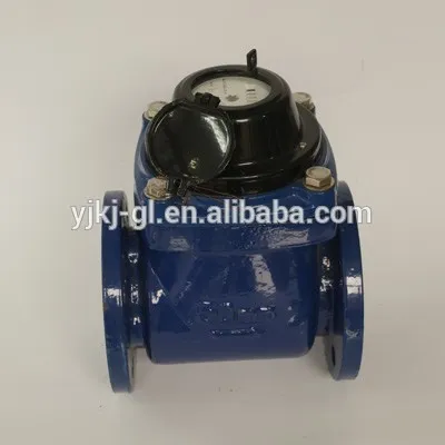 Removable woltman steel cap water meter