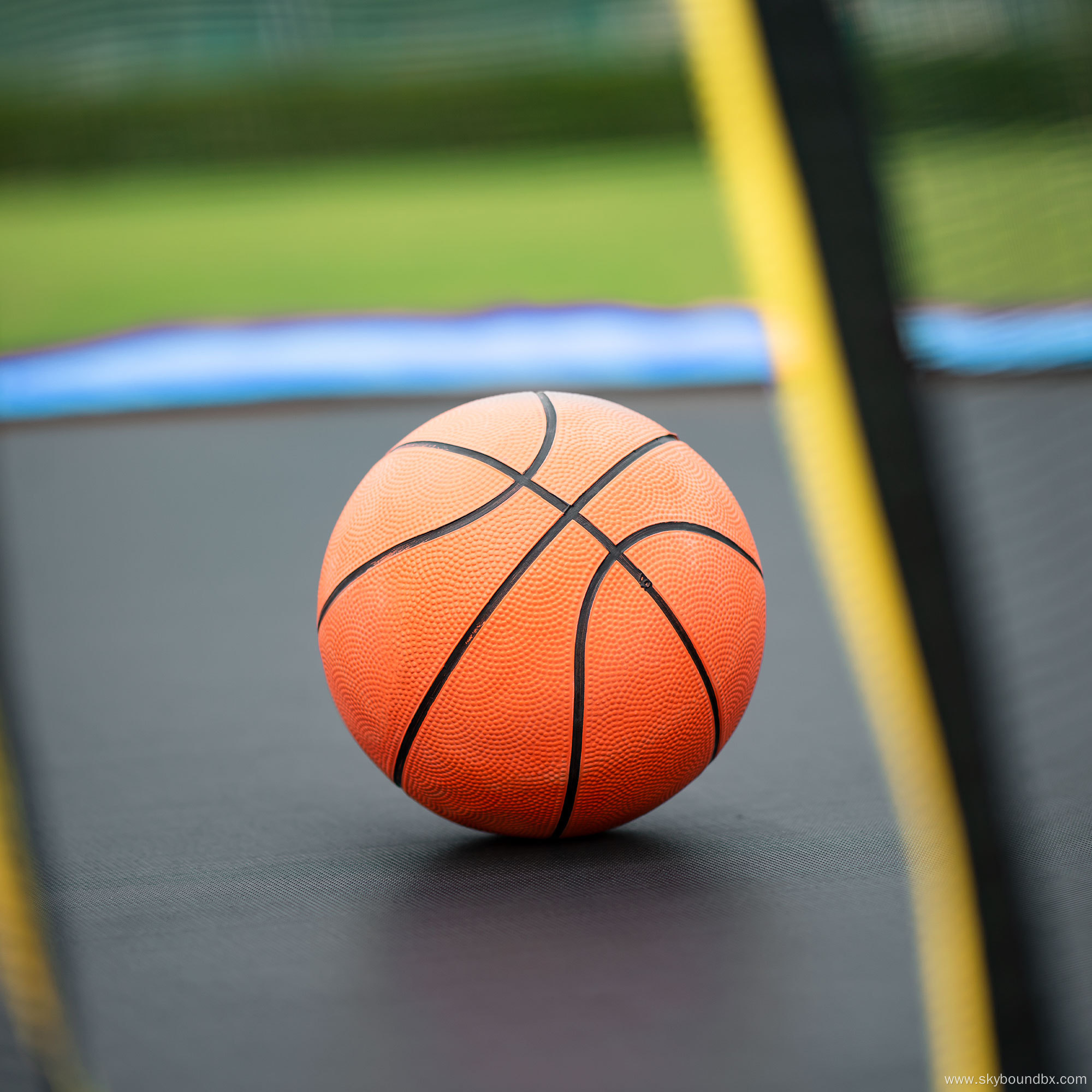 Backyard Trampoline with Enclosure Net large trampoline