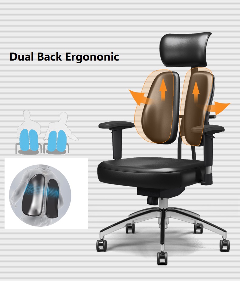 Dual back healthcare ergonomics office chair