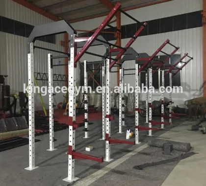 Fitness Equipment/Professional Hammer Strength Ascending Monkey Bar Rig