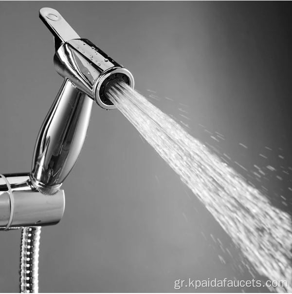 Μία λειτουργία ABS Handheld Bidet Sprader