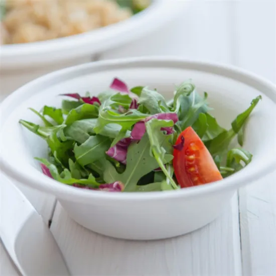 Sugarcane Bagasse Pulp Molded Salad Soup Food Bowl