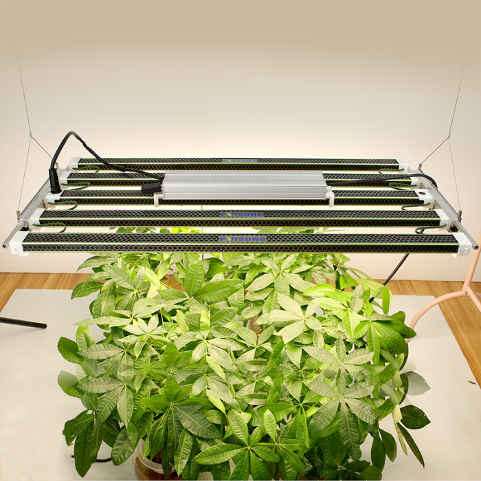 LED Super Blooming Grow Light 730W Spettro completo