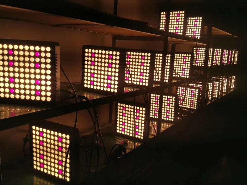 LED Grow Light 1000W Full Spectrum 3500K Sunlike