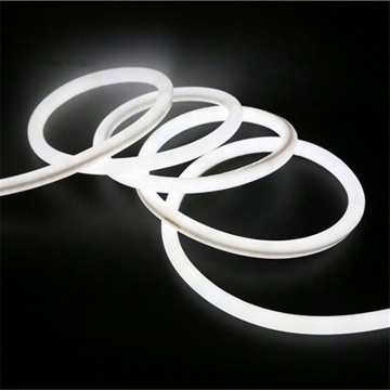 Best Price Quality 12V 24V Coextrusion Single Color LED Holiday Lights