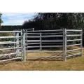 Australia Cattle Farm Equipment Rails cerca de los paneles de ganado