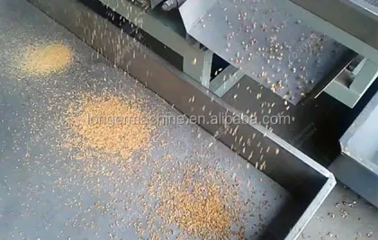 Roasted Peanut and Nut Chopping Machine - Cashew Nut Cutting Machine