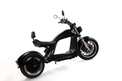 Battery Removable Mobility EEC Electric Scooters