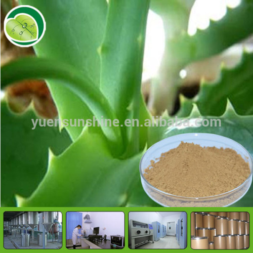Aloe Vera Extract Aloe Emodin, High Quality Aloe Vera Extract Aloe ...