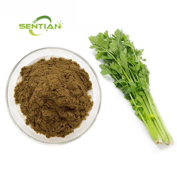 Vegetable Celery Extract Celery Powder