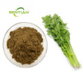 Vegetable Celery Extract Celery Powder