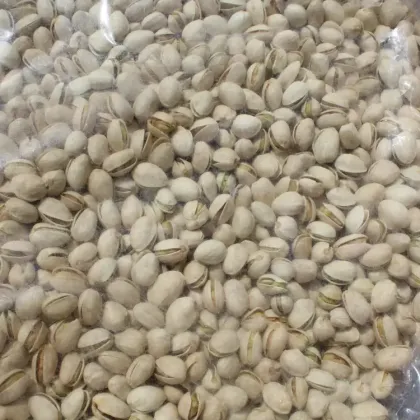 GEKO Food Factory - Wholesale Natural Pistachios with Rich Flavor and Nutrition