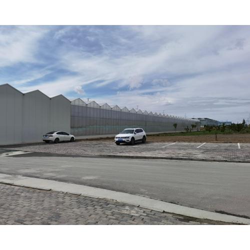 Glass And Sandwich Panel Greenhouse Structure
