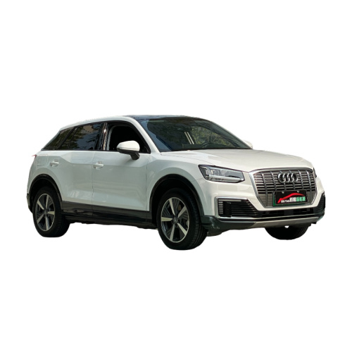 Electric car 5-seater Audi Q2L