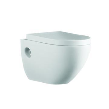 wall hung toilet