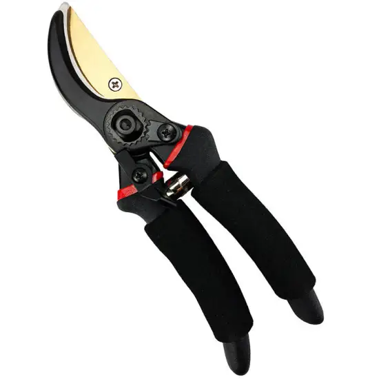 Professional Garden Tools: Exploring High-Quality Scissors, Pruners, and Titanium Tree Pruners