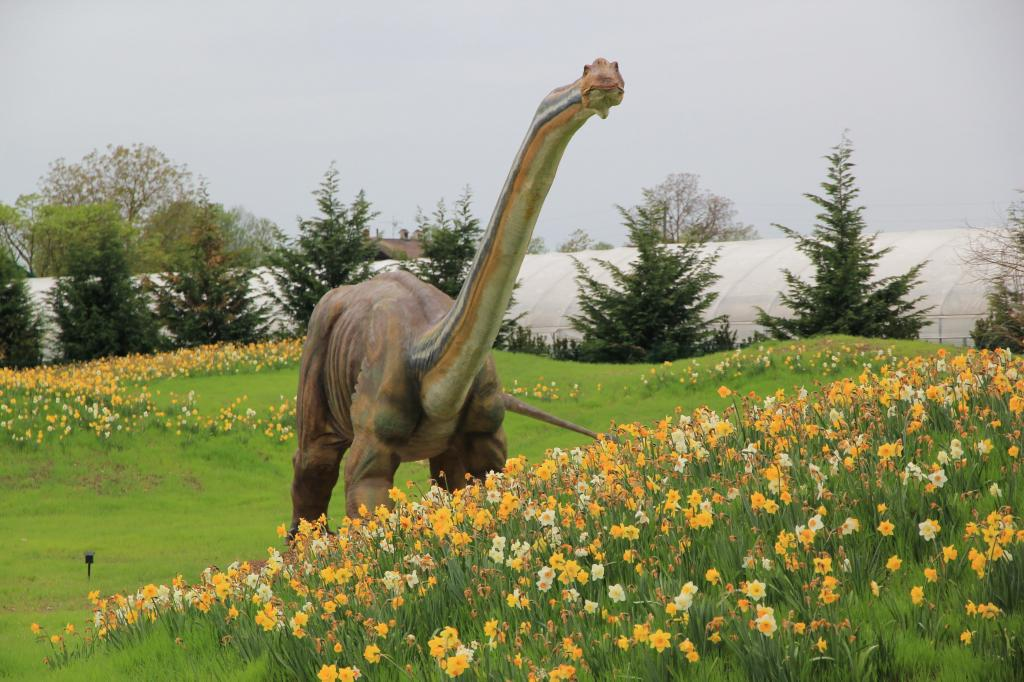 brachiosaurus statue