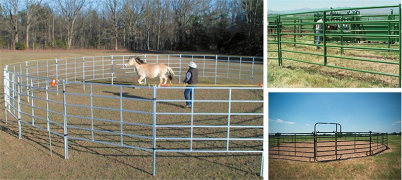 horse fencing perimeter