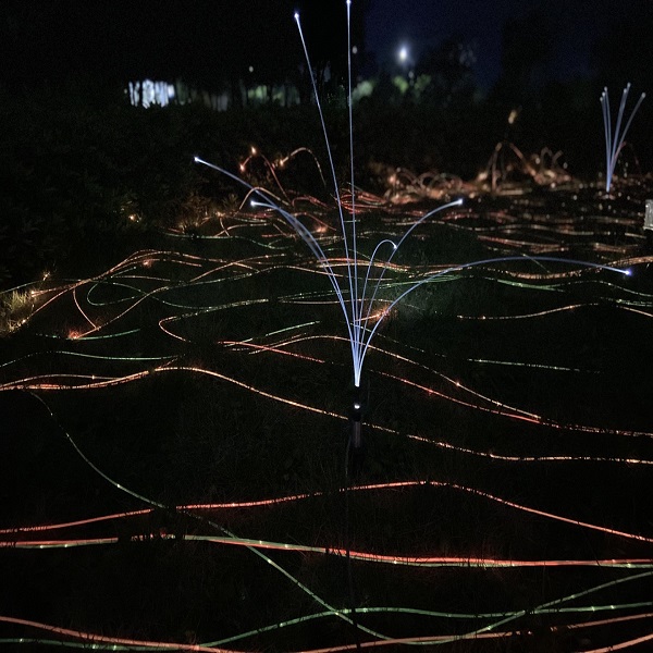 Nouvel éclairage décoratif à fibre optique de jardin