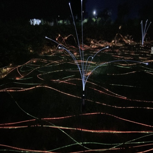Luz de jardín de fibra óptica con diseño de luciérnaga