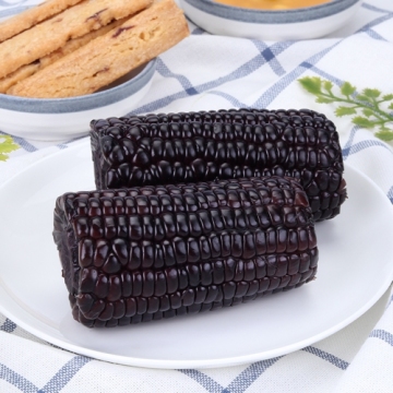 Bicolor tatlı mısır koçanı