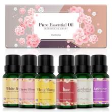 Conjunto de óleo essencial para presente 6 * 10ml