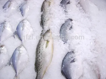 commercial flake ice machine