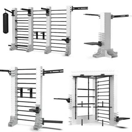 Queenax Functional Training System