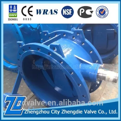 Durable and Reliable douctile iron check valve