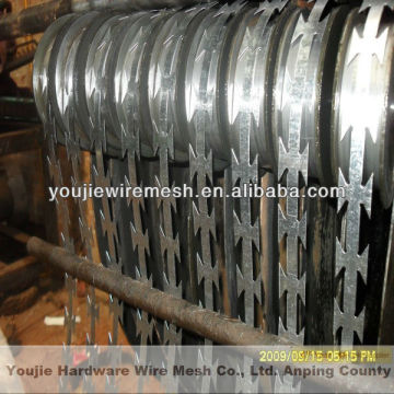razor barbed wire (professional factory)