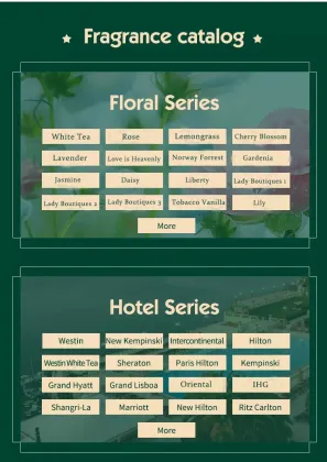 Grand Hyatt Hotel Scent: Wholesale Aroma Diffuser Essential Oils for Home Fragrance - 500ML Reed Diffuser