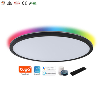 Tuya App Controlled Modern RGB Dimmable CCT LED Ceiling Light