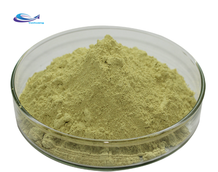 Ashitaba Powder online