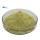 Pure Angelica Keiskei Ashitaba Leaf Extract Powder