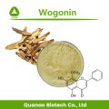 Natural Scutellaria Baicalensis Extract Wogonin 20% Powder