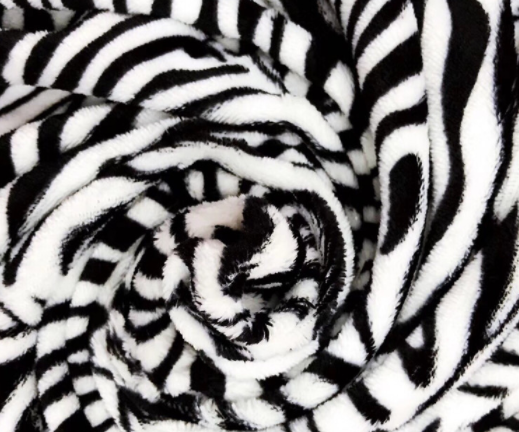 Zebra blanket 
