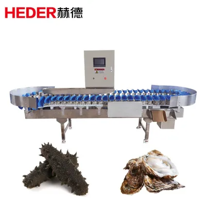 Kiwi Fruit and Vegetable Weight Sorting Grading Machines