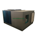 Low Temperature Rooftop Air Conditioner with Economizer