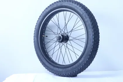 Electric bicycle front wheel 20 inches