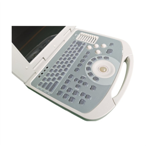 China Human Laptop Ultrasound Machine for pregnancy price Factory